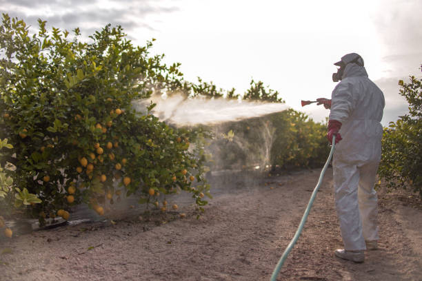 Best Pest Prevention Services  in Marion, KY