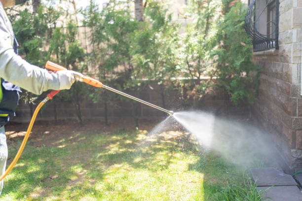 Best Mosquito Control Services  in Marion, KY