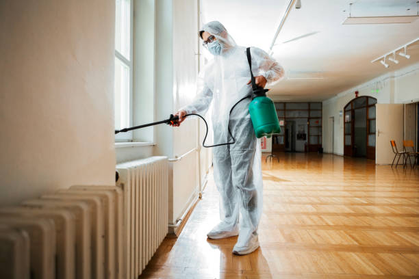 Best Local Pest Control Services  in Marion, KY