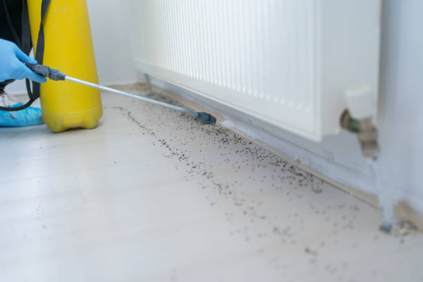 Flea Control Services in Marion, KY