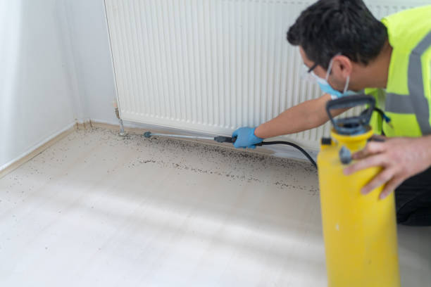 Best Ant Control Services  in Marion, KY