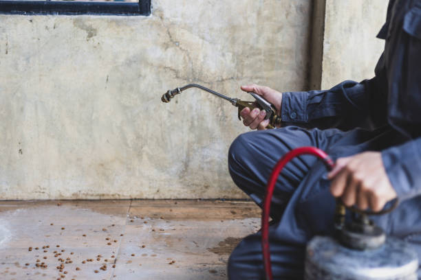 Best Pest Prevention Services  in Marion, KY